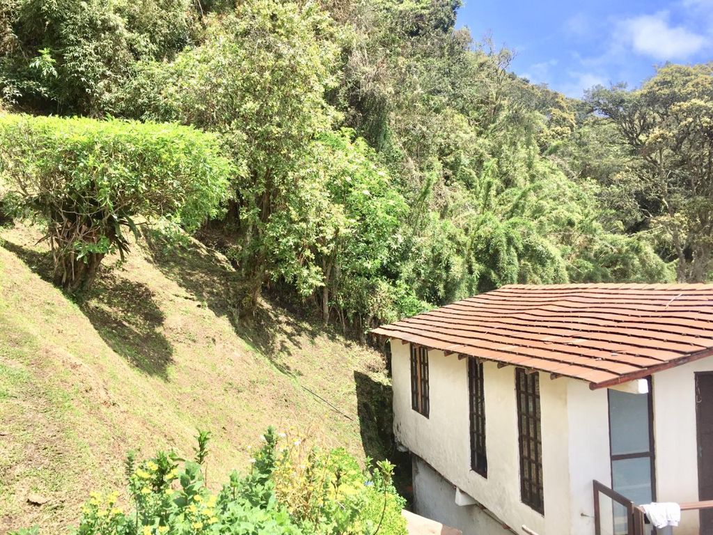 Casa en venta en El Libano, La Calera · foto 8 de 24