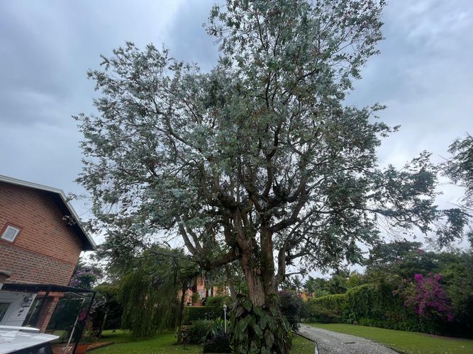 Casa de 4 alcobas en venta en Llano Grande, Rionegro, 260 m² · foto 19 de 24