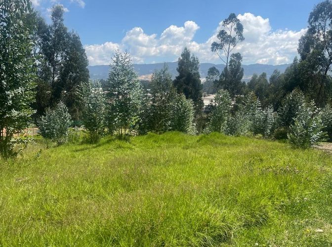 Lote en venta en Verganzo, Zipaquirá, 2809 m² · foto 8 de 24