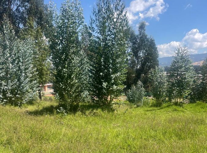 Lote en venta en Verganzo, Zipaquirá, 2809 m² · foto 10 de 24