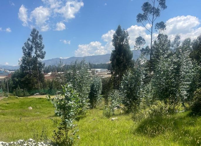 Lote en venta en Verganzo, Zipaquirá, 2809 m² · foto 11 de 24