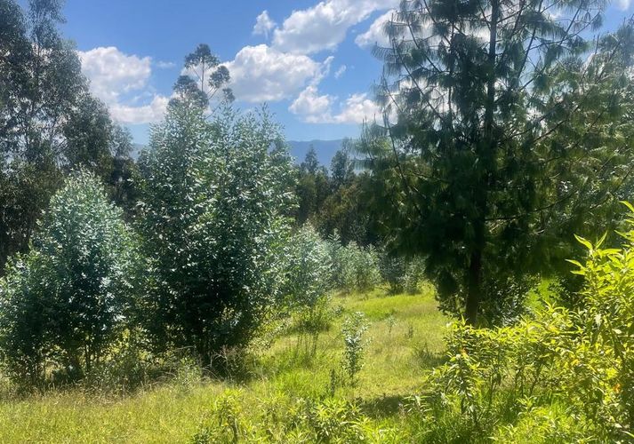 Lote en venta en Verganzo, Zipaquirá, 2809 m² · foto 16 de 24