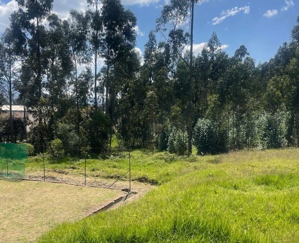 Lote en venta en Verganzo, Zipaquirá, 2809 m² · foto 20 de 24