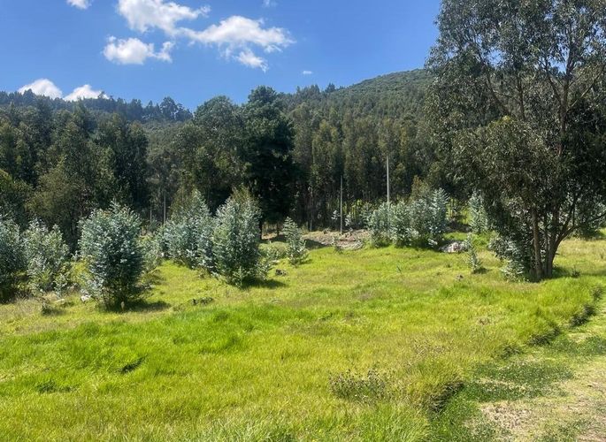 Lote en venta en Verganzo, Zipaquirá, 2809 m² · foto 21 de 24