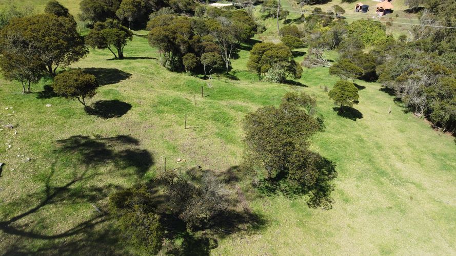 Lote en venta en El Hato, La Calera, 20000 m² · foto 6 de 24