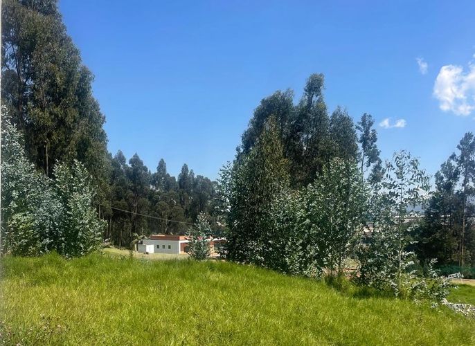 Lote en venta en Briceño, Sopó, 2809 m² · foto 9 de 24