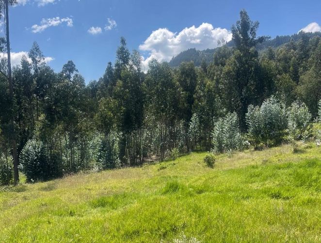 Lote en venta en Briceño, Sopó, 2809 m² · foto 13 de 24