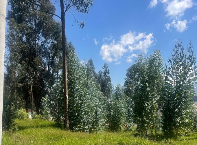 Lote en venta en Briceño, Sopó, 2809 m² · foto 15 de 24