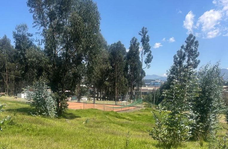 Lote en venta en Briceño, Sopó, 2809 m² · foto 19 de 24
