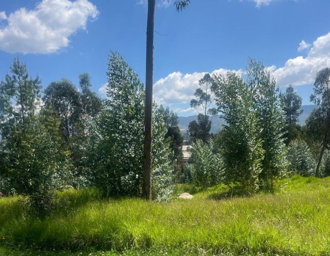 Lote en venta en Briceño, Sopó, 2809 m² · foto 20 de 24