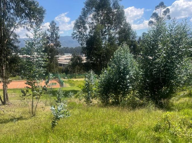 Lote en venta en Briceño, Sopó, 2809 m² · foto 21 de 24