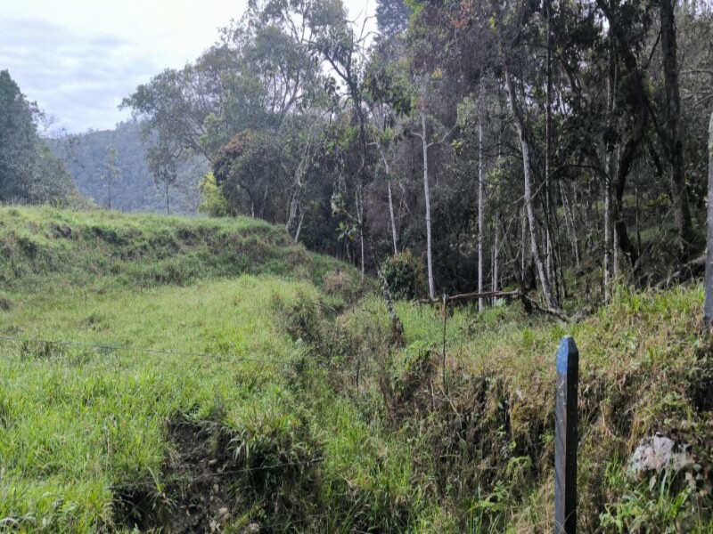Billede 1 af ejendommen annonceret i Medellín