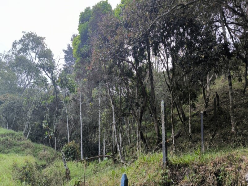 Billede 2 af ejendommen annonceret i Medellín