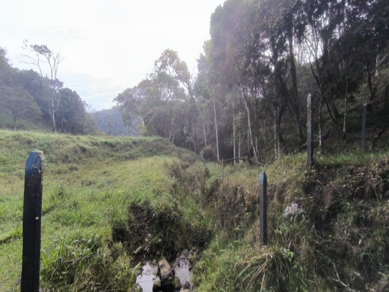 Billede 3 af ejendommen annonceret i Medellín