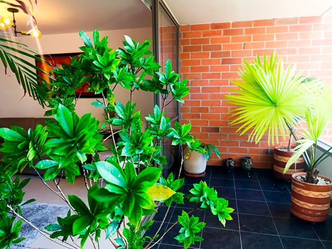 Apartamento de 3 alcobas en arriendo en El Tesoro, Medellín, 170 m² · foto 18 de 18
