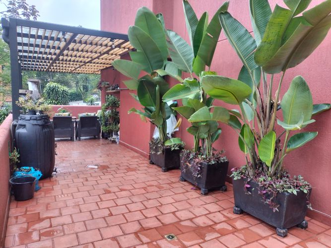 Apartamento de 3 alcobas en venta en Astorga, Medellín, 203 m² · foto 18 de 19