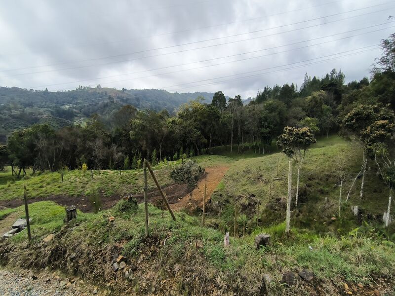 Image 1 du bien annoncé à Medellín