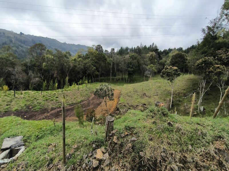 Image 2 du bien annoncé à Medellín