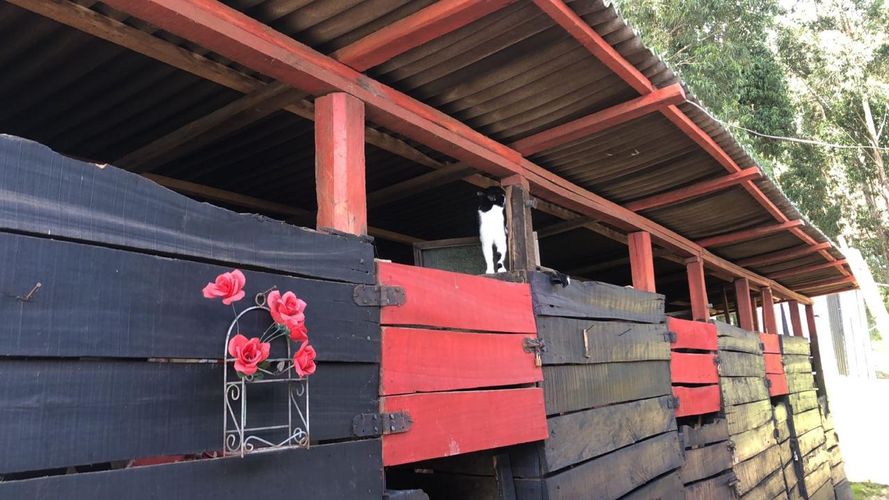 Finca en venta en La Estacion, Cajicá, 23000 m² · foto 5 de 13