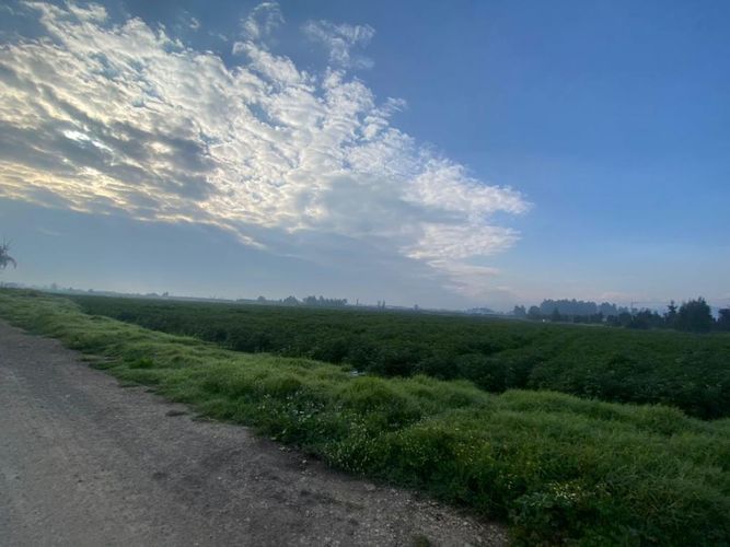 Lote en venta en Santa Cruz, Madrid, 80000 m² · foto 7 de 11