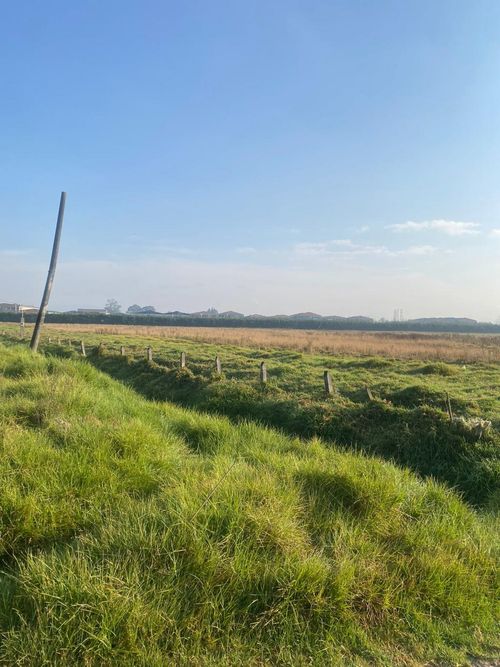 Lote en venta en Santa Cruz, Madrid, 80000 m² · foto 11 de 11