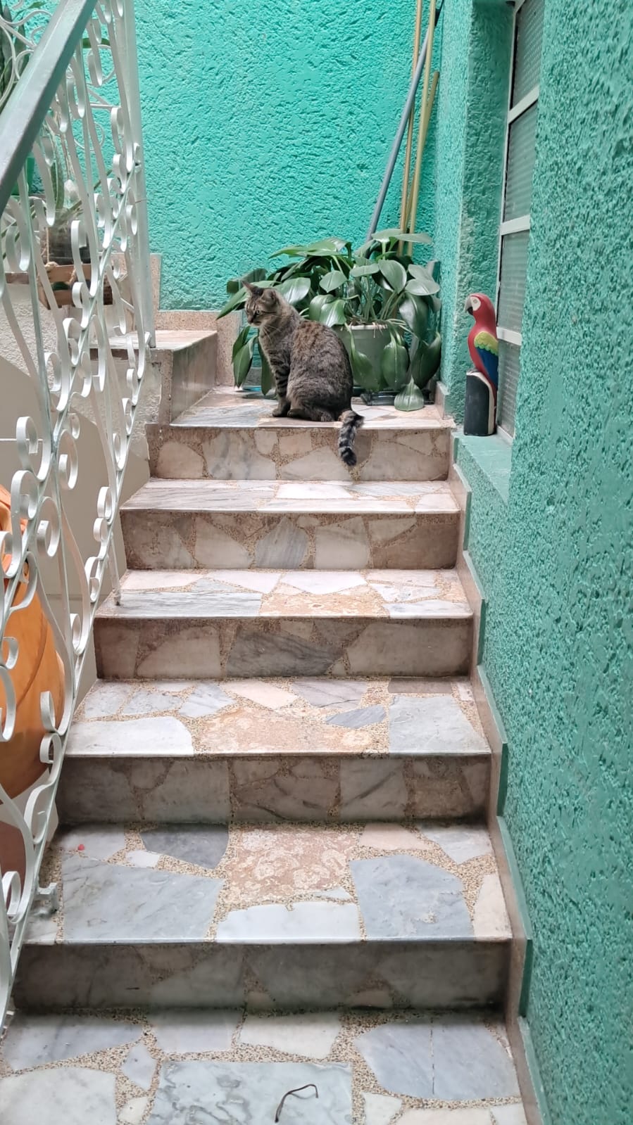 Casa en venta en Roma, Bogotá · foto 8 de 9