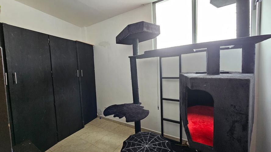 Apartamento en venta en Palermo, Manizales · foto 14 de 17