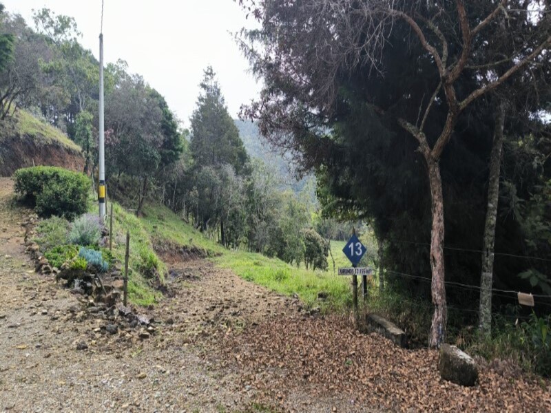 Bild 1 för fastigheten som annonseras i Medellín