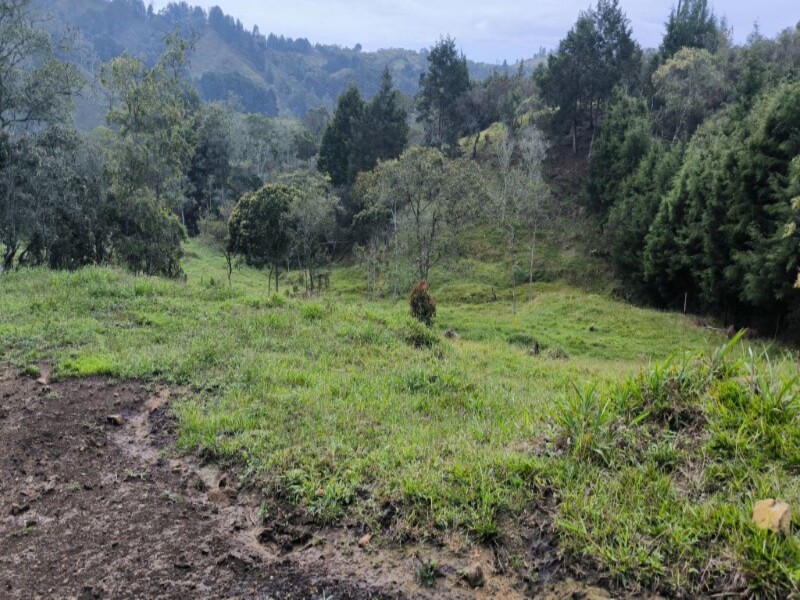 Bild 3 för fastigheten som annonseras i Medellín