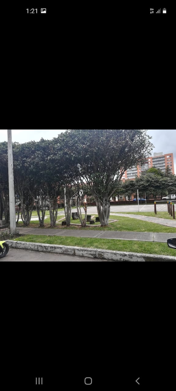 Casa en venta en Portales Del Norte, Bogotá · foto 6 de 18