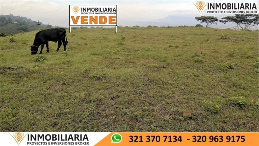 Lote en venta en 10 De Mayo Santa Barbara, Bucaramanga, 6000 m² · foto 13 de 16
