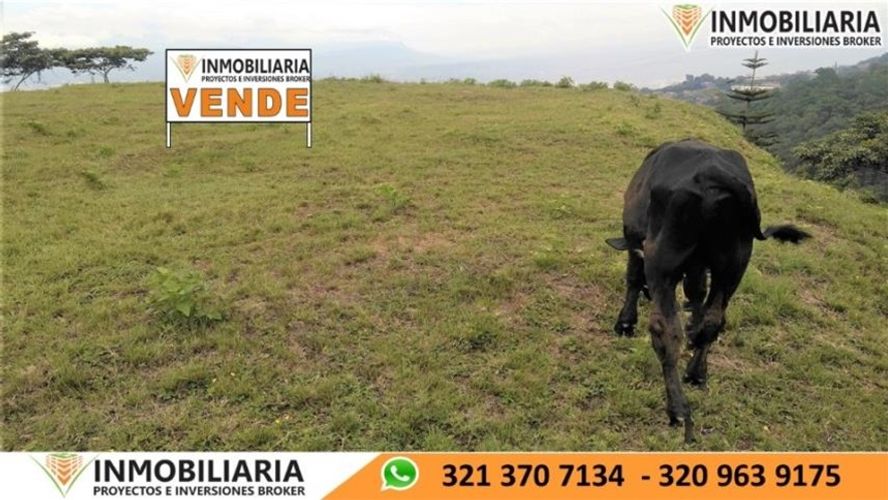 Lote en venta en 10 De Mayo Santa Barbara, Bucaramanga, 6000 m² · foto 16 de 16
