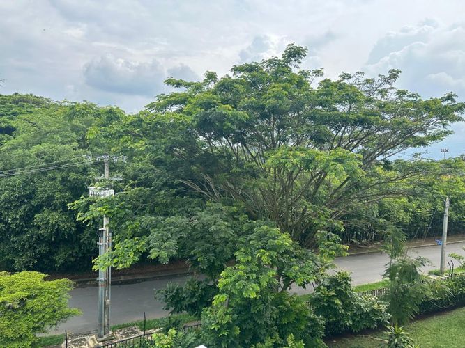 Apartamento de 2 alcobas en venta en La Pradera, Jamundí, 62 m² · foto 5 de 18
