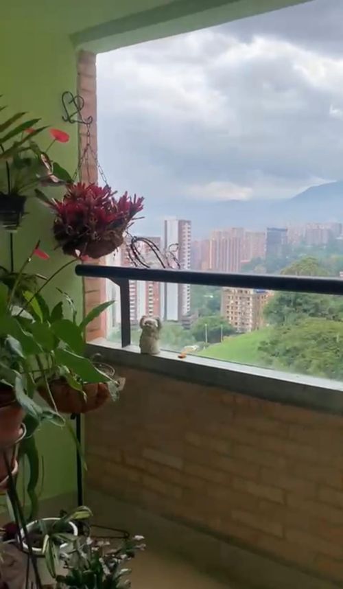 Apartamento de 3 alcobas en venta en Aves Maria, Sabaneta, 112 m² · foto 15 de 24