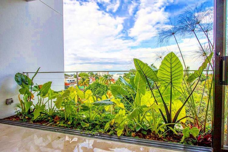 Apartamento de 3 alcobas en venta en Pance, Cali, 251 m² · foto 9 de 21