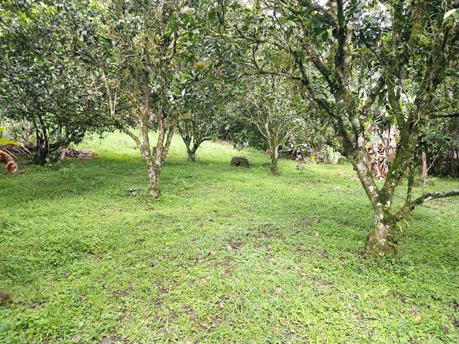 Lote en venta en Puerto Peru Llanitos Parte Alta, Ibagué, 1790 m² · foto 13 de 15