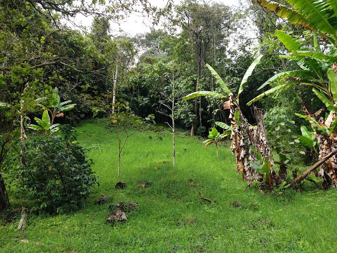 Lote en venta en Puerto Peru Llanitos Parte Alta, Ibagué, 1790 m² · foto 14 de 15