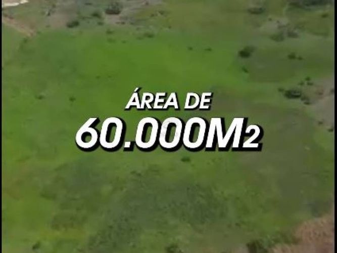 Lote en venta en Los Garzones, Montería, 60000 m² · foto 3 de 3