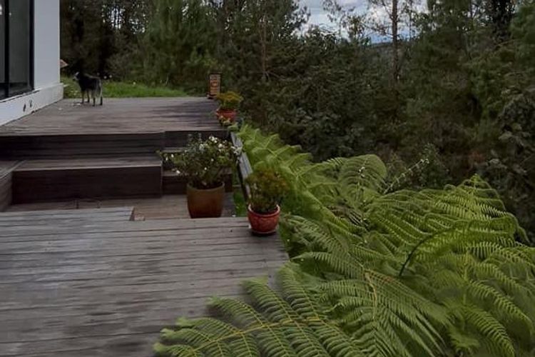 Casa de 3 alcobas en venta en Escobero, Envigado, 500 m² · foto 17 de 18