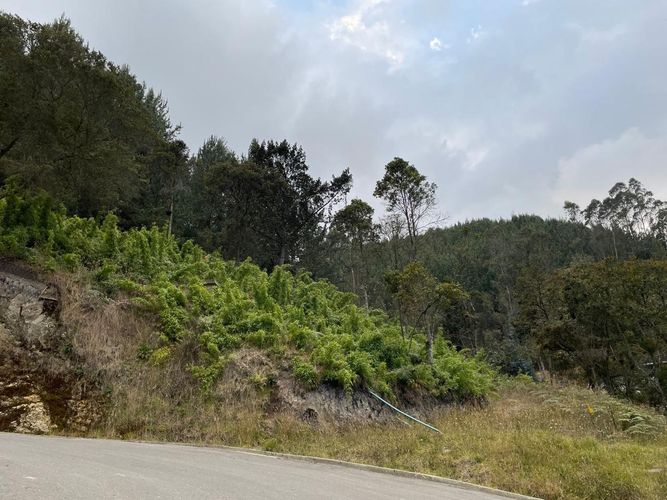 Lote en venta en Centro, La Calera, 1791 m² · foto 2 de 4