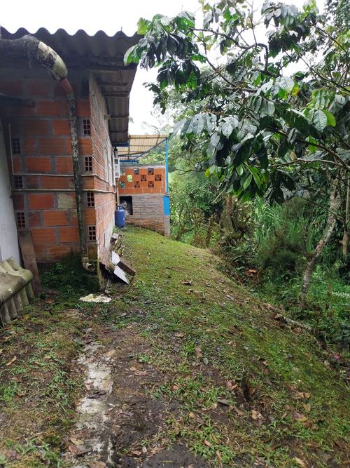 Casa de 5 alcobas en venta en Arabia, Pereira, 120 m² · foto 16 de 20