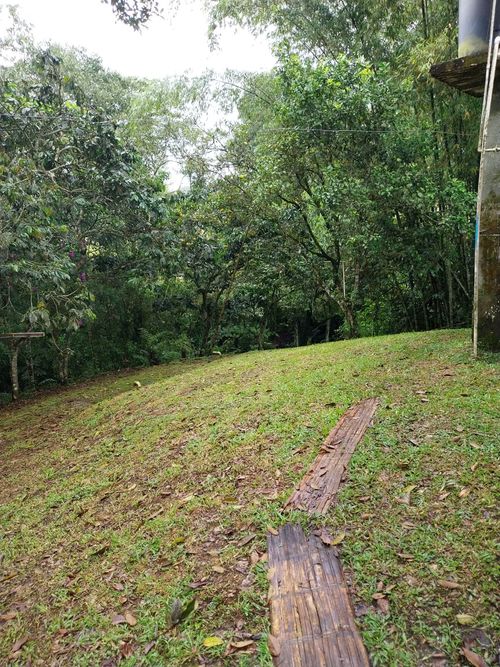 Casa de 5 alcobas en venta en Arabia, Pereira, 120 m² · foto 17 de 20