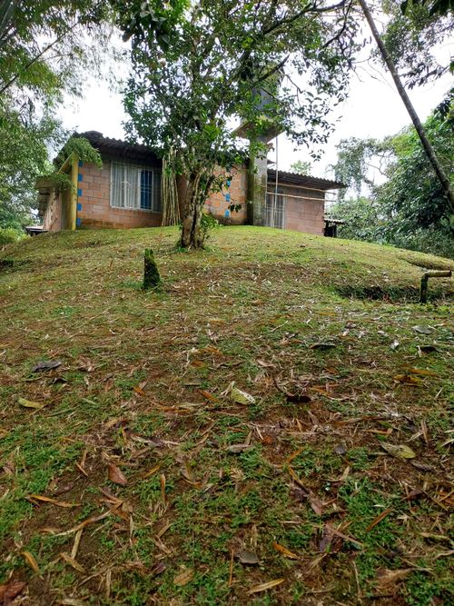 Casa de 5 alcobas en venta en Arabia, Pereira, 120 m² · foto 18 de 20
