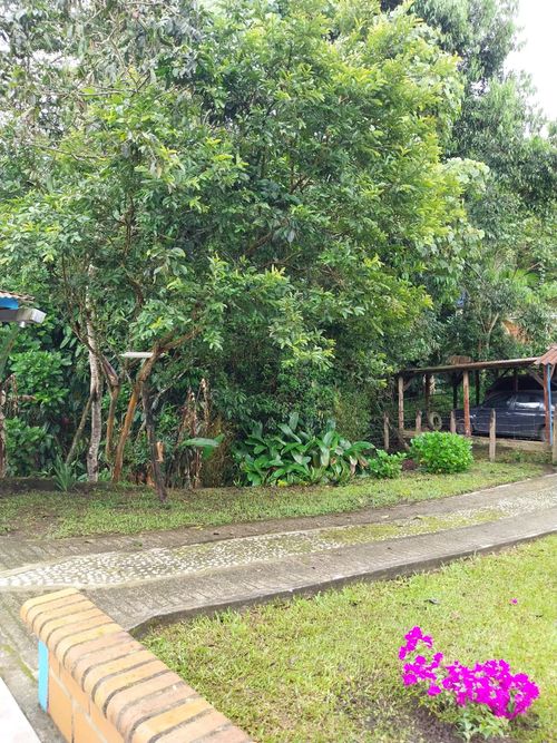 Casa de 5 alcobas en venta en Arabia, Pereira, 120 m² · foto 20 de 20