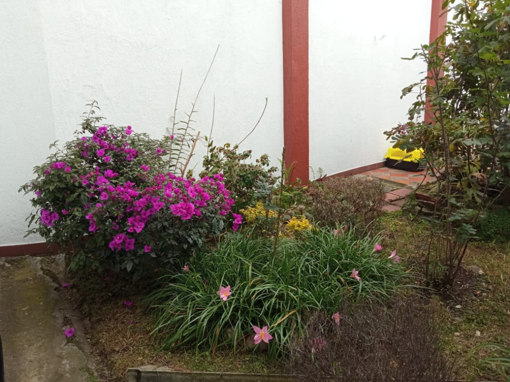 Casa en venta en Muequeta, Bogotá · foto 22 de 24