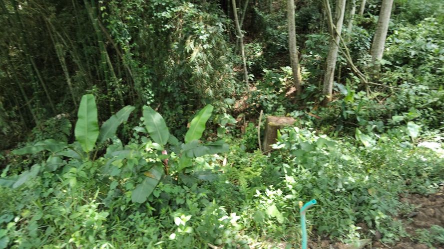 Lote en venta en Las Pavas, Manizales, 1488 m² · foto 3 de 20