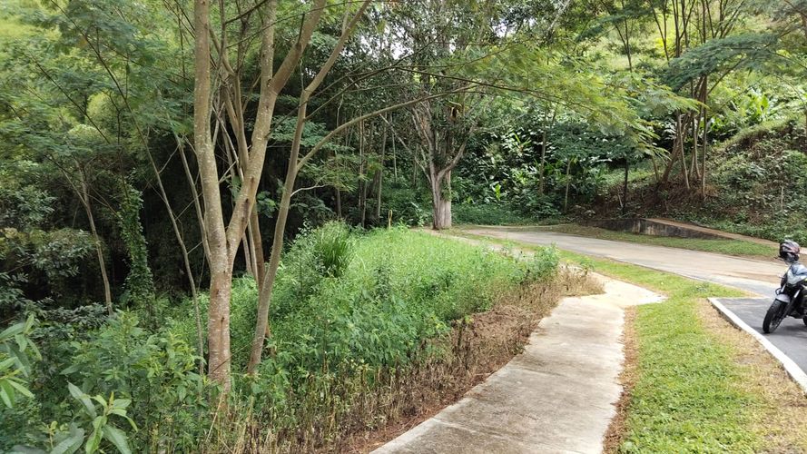 Lote en venta en Las Pavas, Manizales, 1488 m² · foto 6 de 20