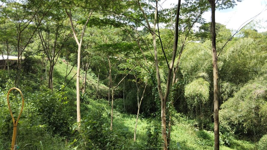 Lote en venta en Las Pavas, Manizales, 1488 m² · foto 11 de 20