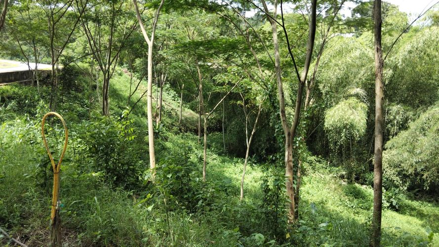 Lote en venta en Las Pavas, Manizales, 1488 m² · foto 17 de 20