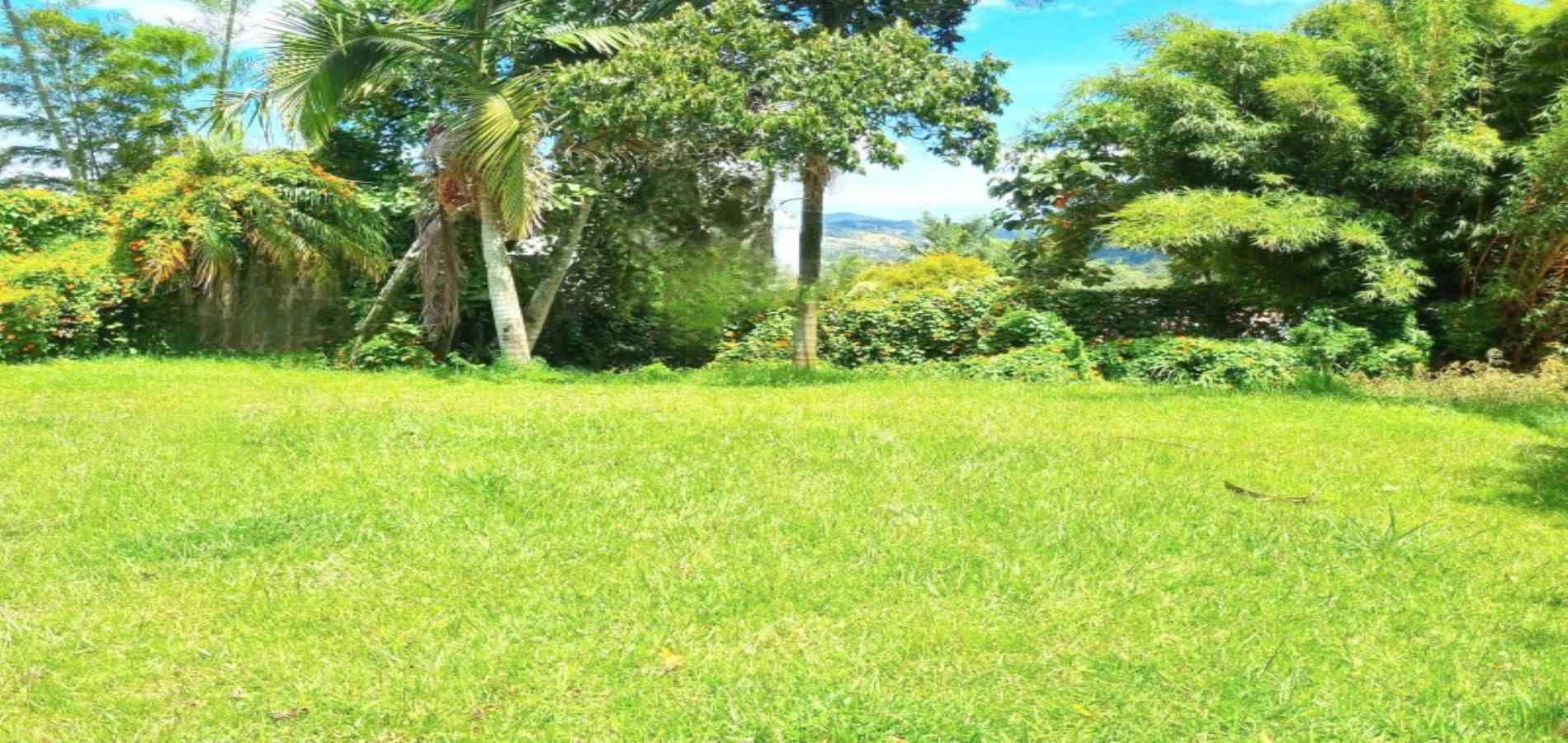 -1BR Land in Santa Elena (240 m²) for Sale - 2